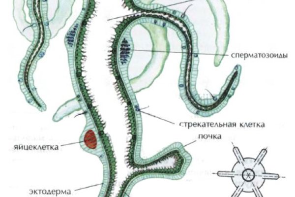 Кракен сайт 1kraken me
