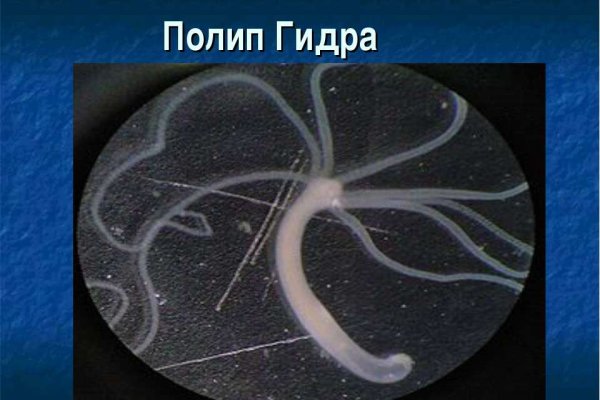 Как вывести деньги с кракена