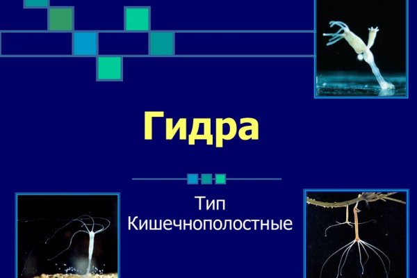 Kraken зеркала kr2web in