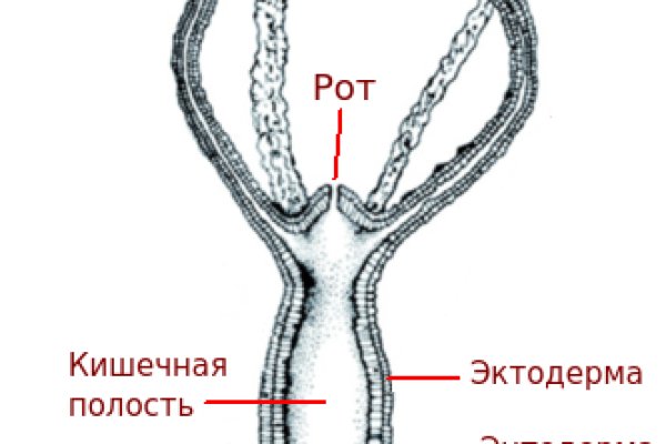 Настоящий сайт kraken