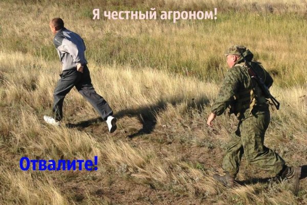 Кракен маркет даркнет только через стор