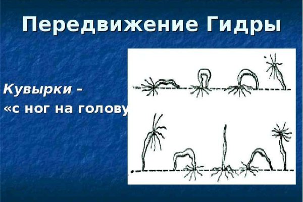 Кракен ссылка pw