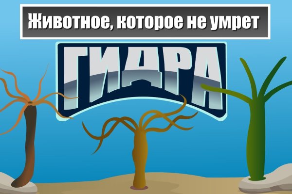 Кракен короткая ссылка