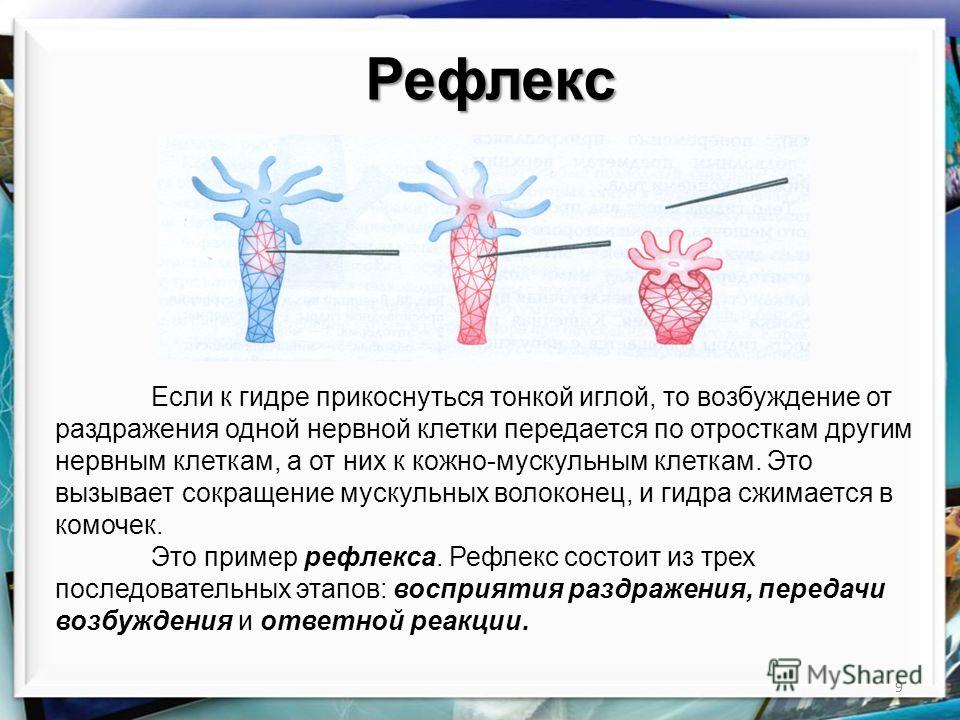 Как зайти на кракен дарк